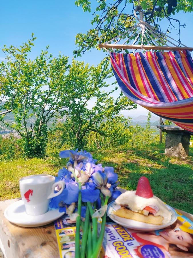 Гостевой дом Apartment Vojvodic Hill Вирпазар-22