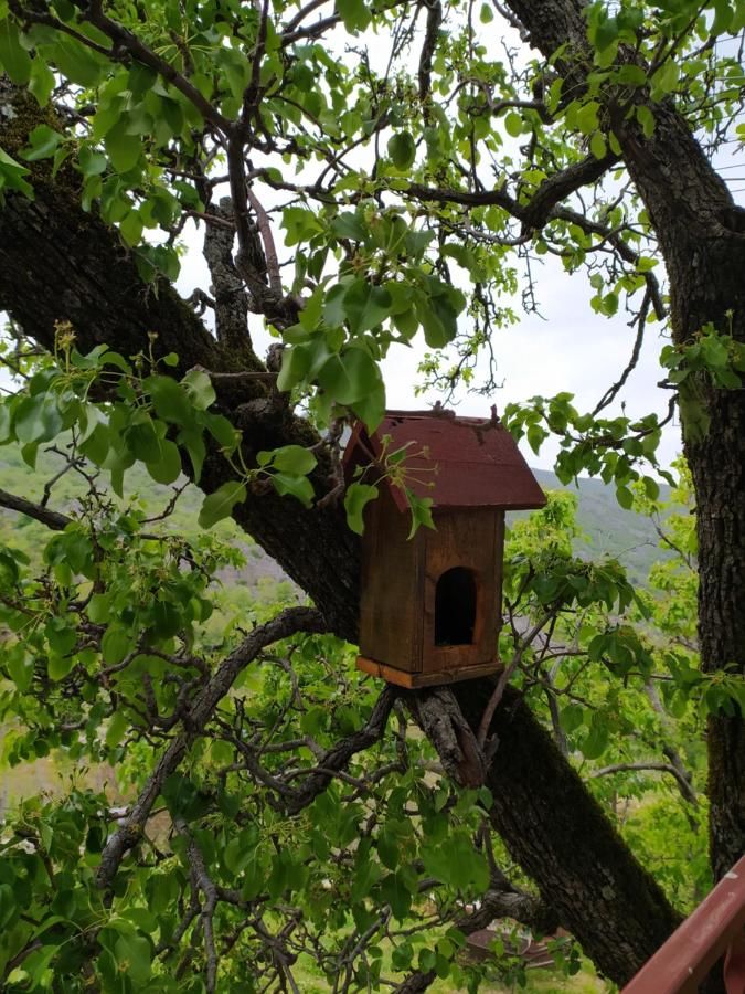 Гостевой дом Apartment Vojvodic Hill Вирпазар