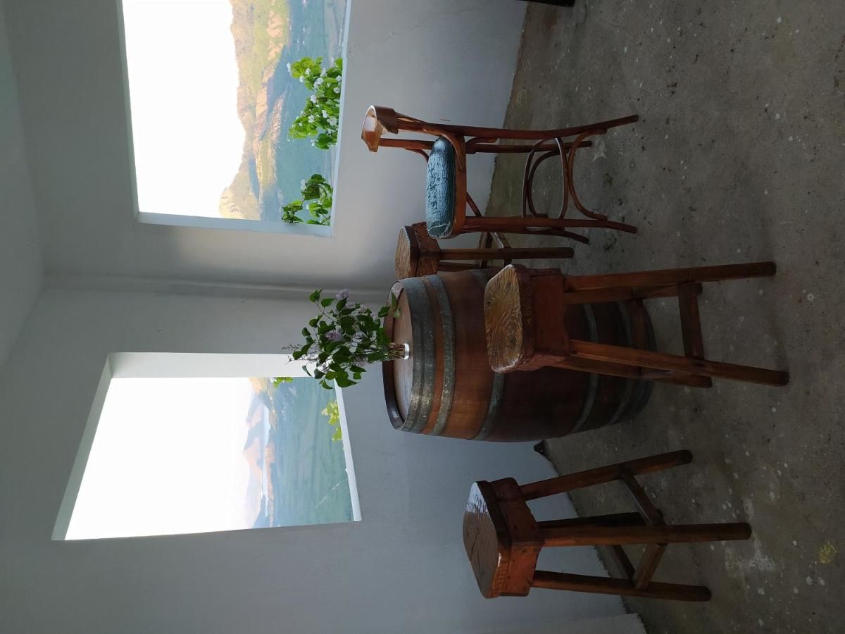 Гостевой дом Apartment Vojvodic Hill Вирпазар-29