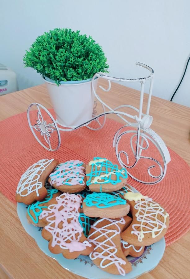 Гостевой дом Apartment Vojvodic Hill Вирпазар-31