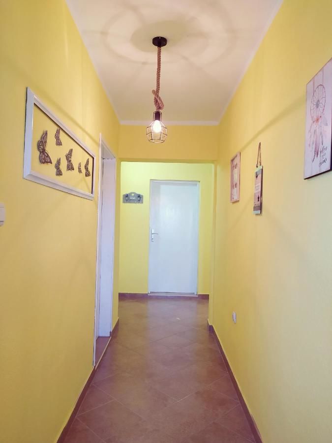 Гостевой дом Apartment Vojvodic Hill Вирпазар-36