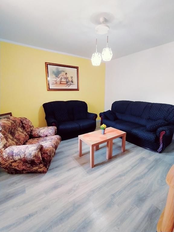 Гостевой дом Apartment Vojvodic Hill Вирпазар