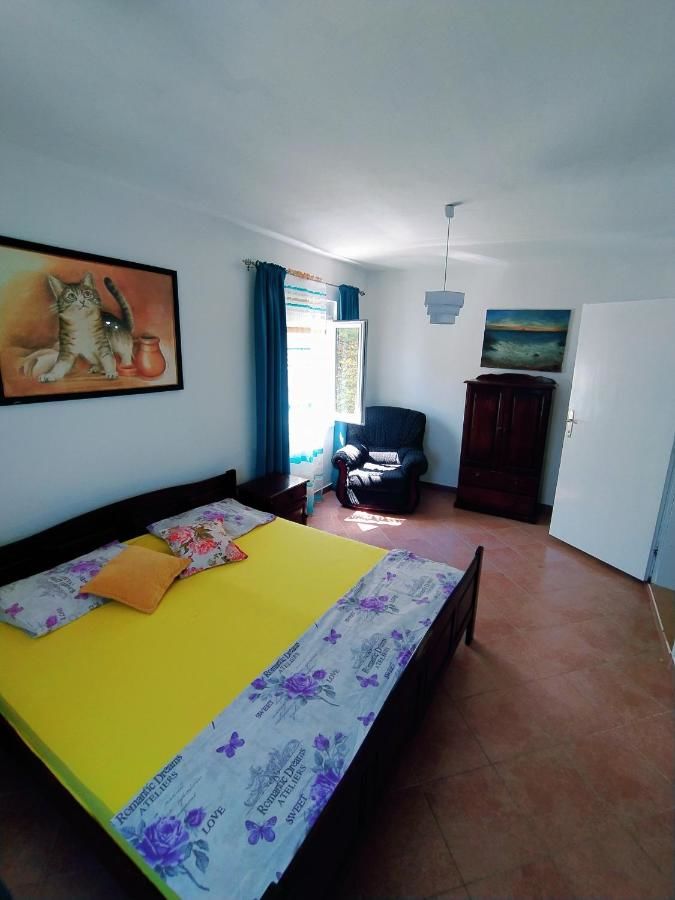 Гостевой дом Apartment Vojvodic Hill Вирпазар