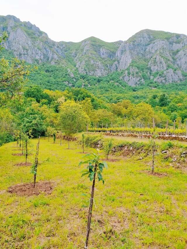 Гостевой дом Apartment Vojvodic Hill Вирпазар-19