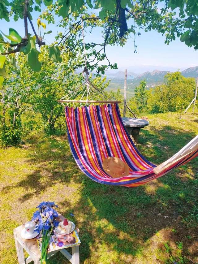 Гостевой дом Apartment Vojvodic Hill Вирпазар-22