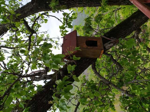 Гостевой дом Apartment Vojvodic Hill Вирпазар-27