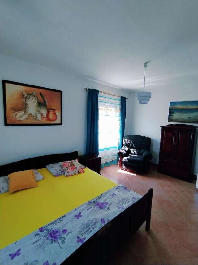 Гостевой дом Apartment Vojvodic Hill Вирпазар-36